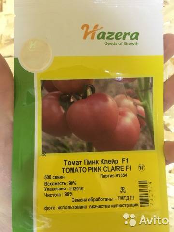 Новые самые урожайные голландские сорта помидор