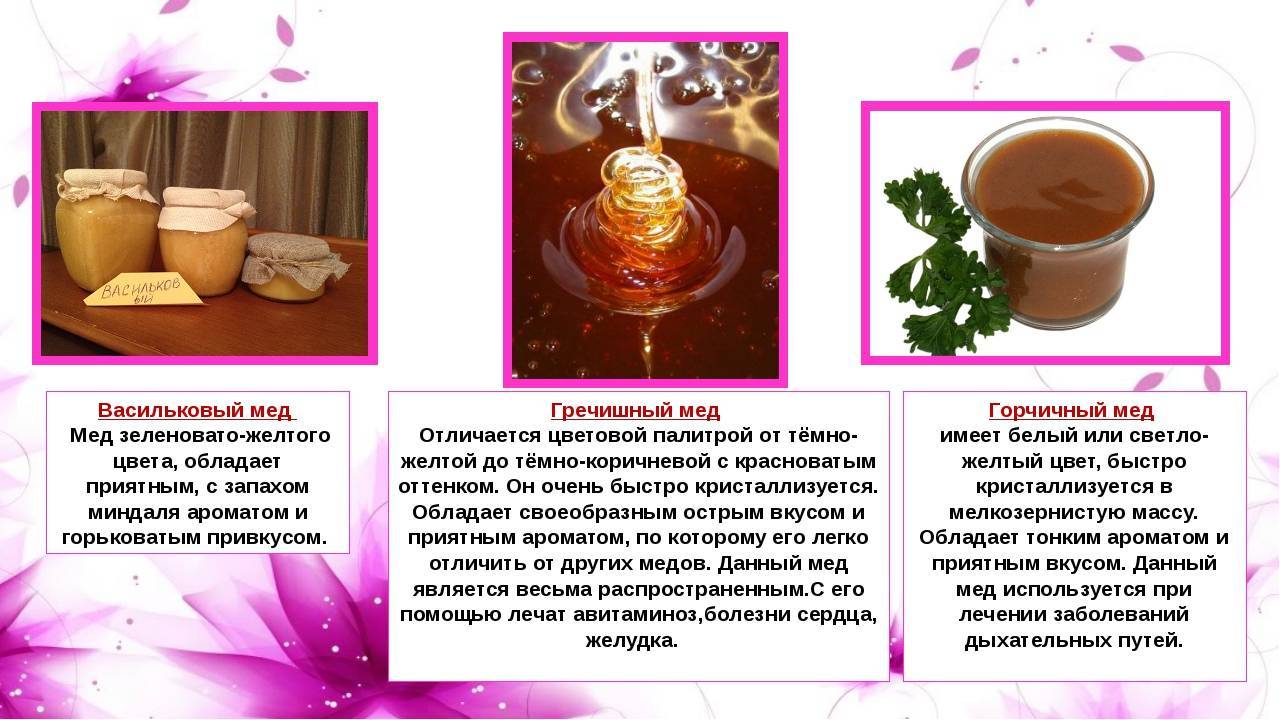 Васильковый мед и его полезные свойства