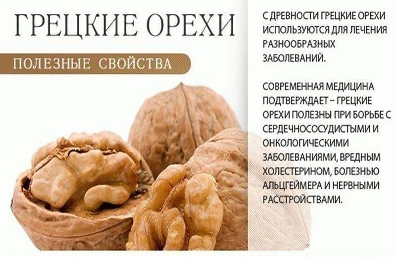 Грецкий орех: польза и вред, лечебные свойства, применение