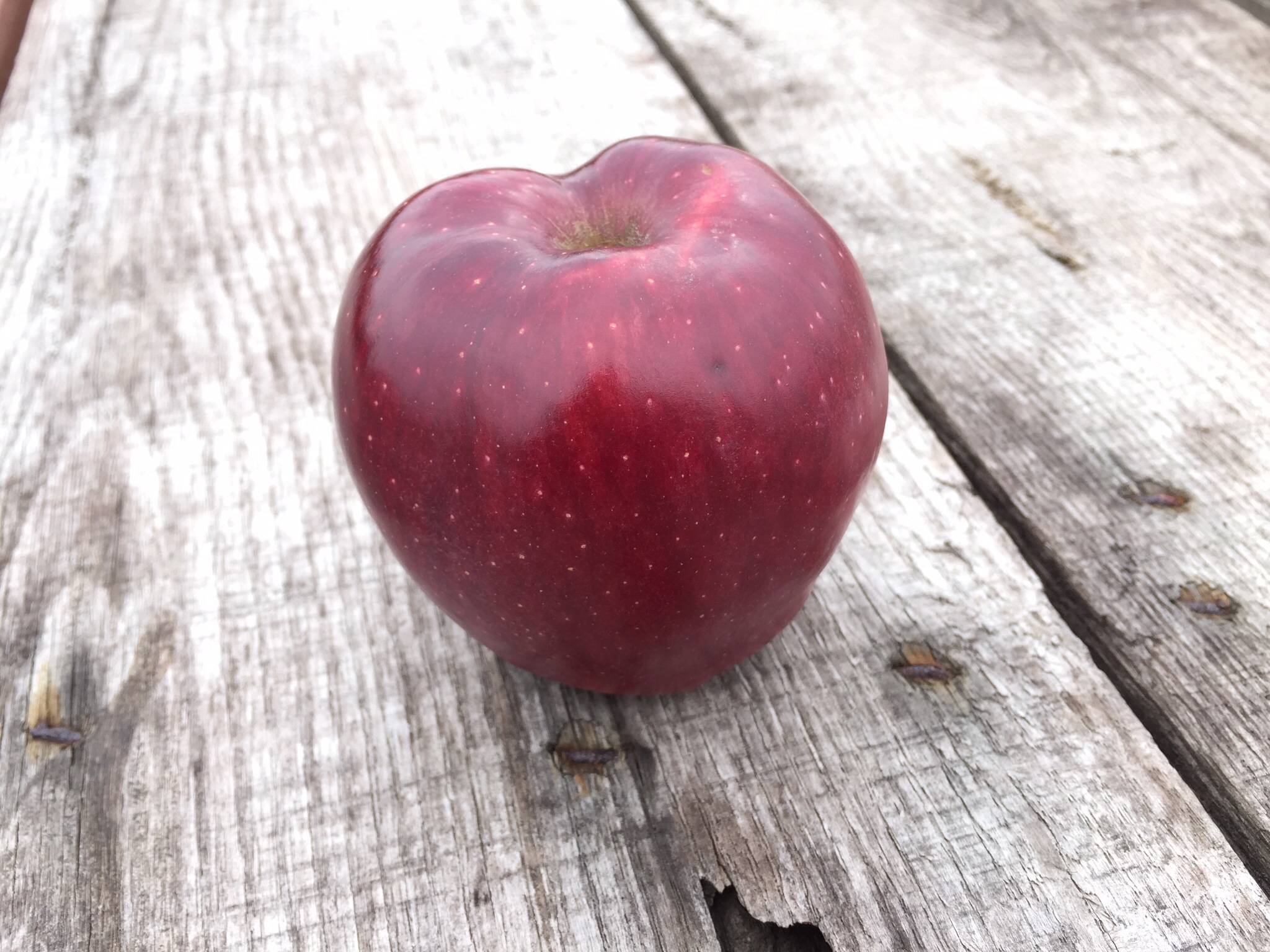 Яблоки ред делишес — объясняем тщательно