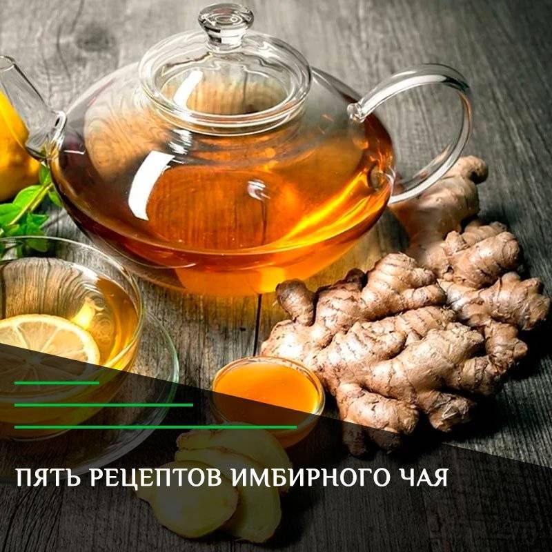 Свойства, польза и вред имбирного чая с лимоном и мёдом, как приготовить и правильно пить