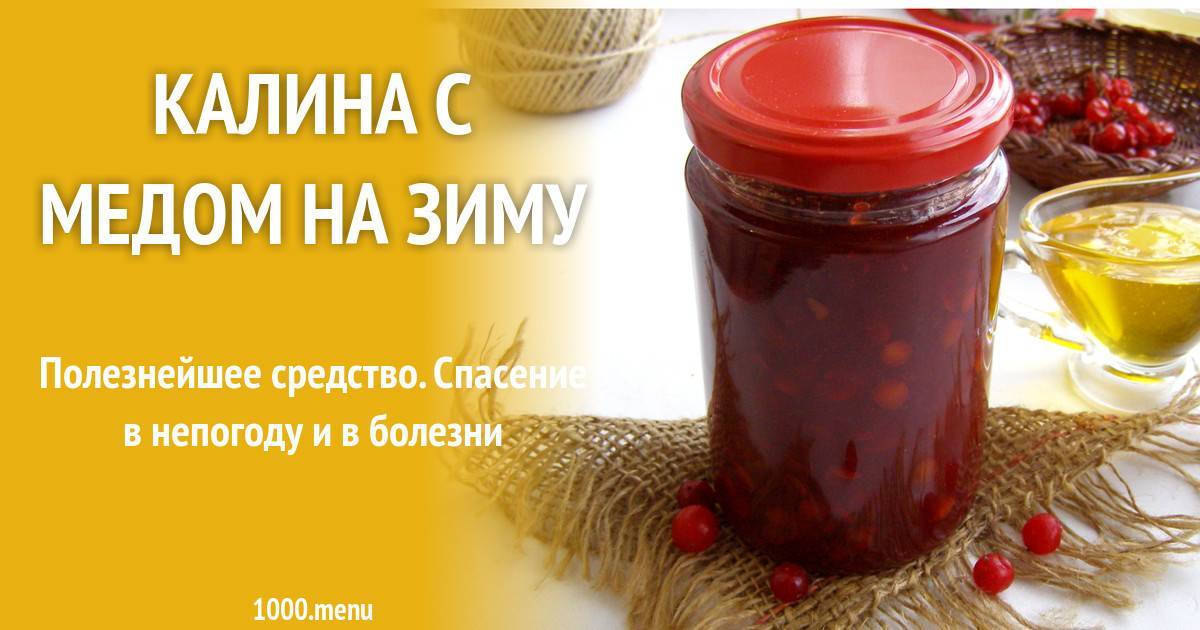 Эффективные рецепты калины с медом