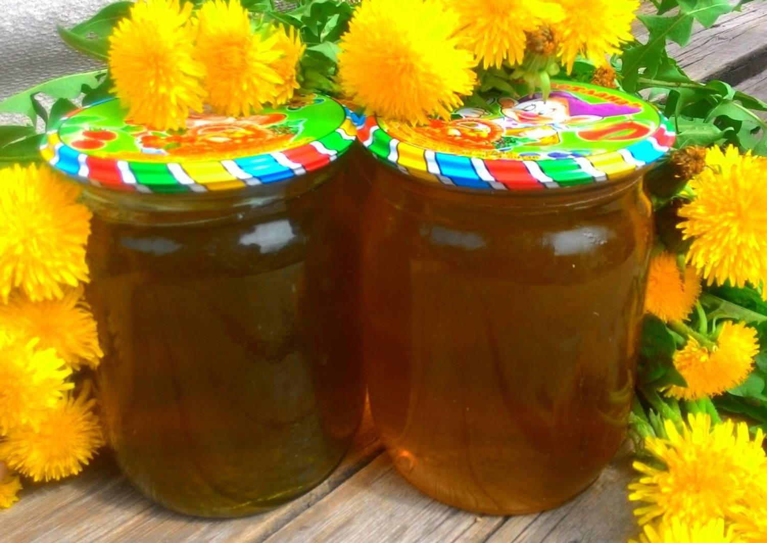 Мед из одуванчиков: рецепты приготовления в домашних условиях, фото, видео