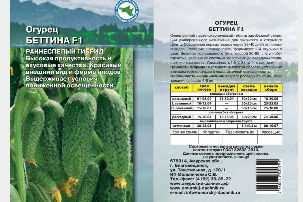 Описание гибридного огурца Куманек f1 и выращивание сорта рассадным способом