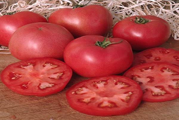 Толстой: описание сорта томата, характеристики помидоров, выращивание