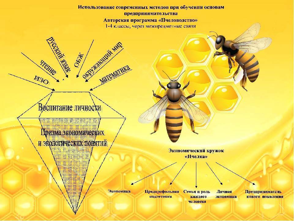 Промышленное пчеловодство: особенности отрасли и перспективы развития
