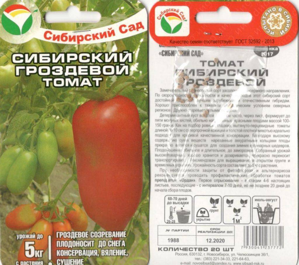 Томат французский гроздевой: описание сорта помидоров, фото полученного урожая и отзывы фермеров о его выращивании