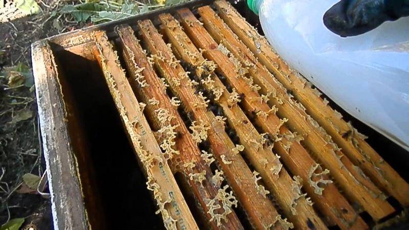 Бипин для пчёл: способы обработки и эффективные методы применения, как лечить пчёл и в какой сезон