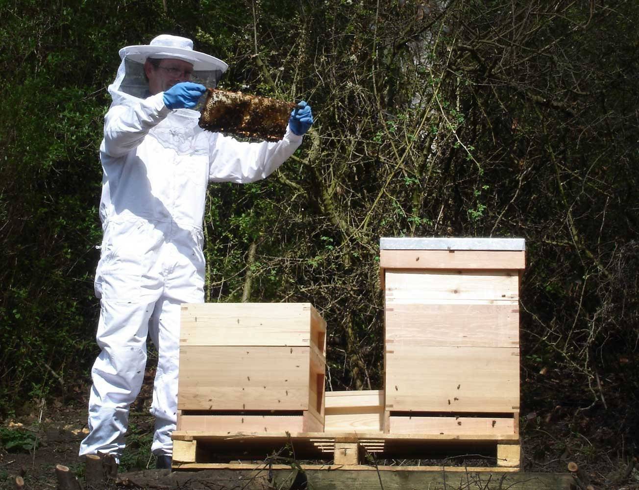 Рогатый улей и метод содержания пчел в нем