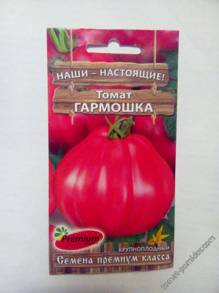 Описание томата Гармошка, правила выращивания сорта в открытом грунте и теплице