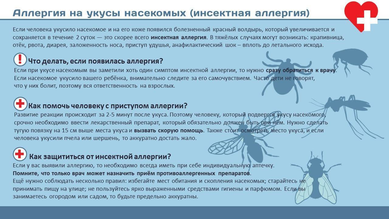 Почему укус комара чешется несколько дней. Аллергическая реакция на укус насекомого. Аллергические реакции от укусов насекомых. Сильная аллергия на укусы насекомых. Укусы насекомых симптомы.