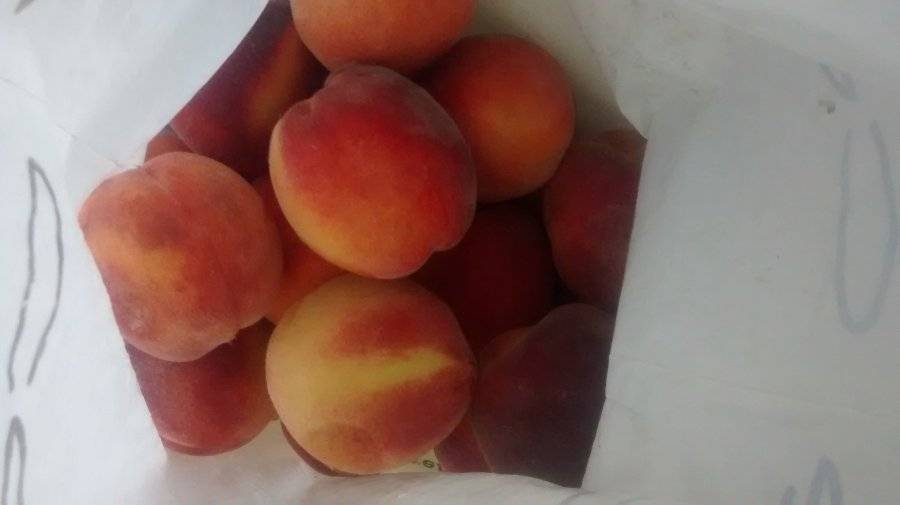 9 способов как заморозить персики на зиму