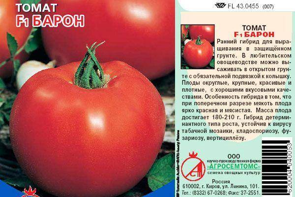 Томат черный барон: описание сорта, отзывы, фото, урожайность | tomatland.ru