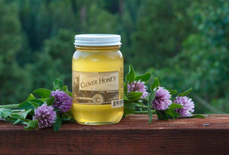 Клеверный мёд: полезные свойства и противопоказания, возможный вред, калорийность, описание, фото