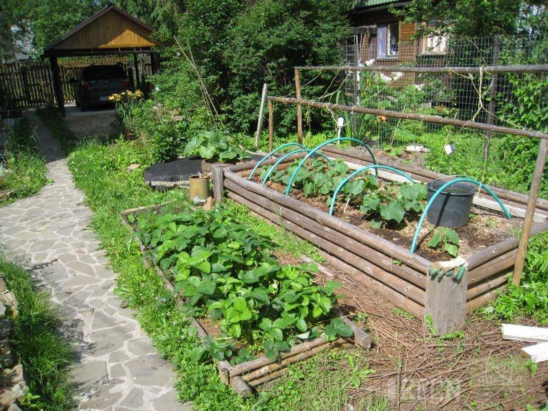 Грядки своими руками из досок для огурцов своими руками фото