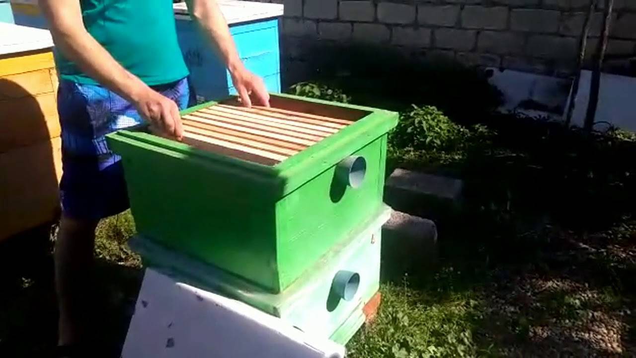 Метод лонина, интенсивное пчеловождение | пчеловодство выходного дня