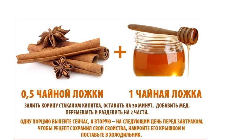 Мёд с корицей - полезные свойства. рецепты. маски. обертывание - медовый сундучок