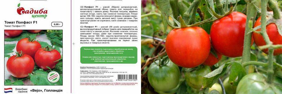 Томат полфаст: описание и характеристика, отзывы, фото, урожайность | tomatland.ru