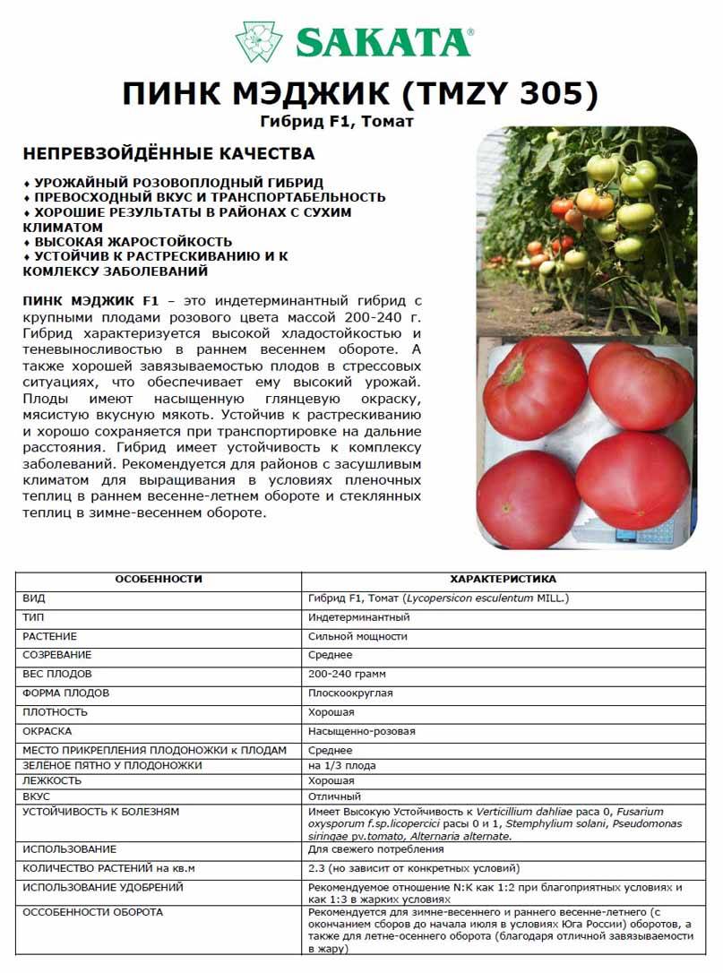 ᐉ томат «пинк клэр» f1: описание, фото и особенности выращивания - orensad198.ru