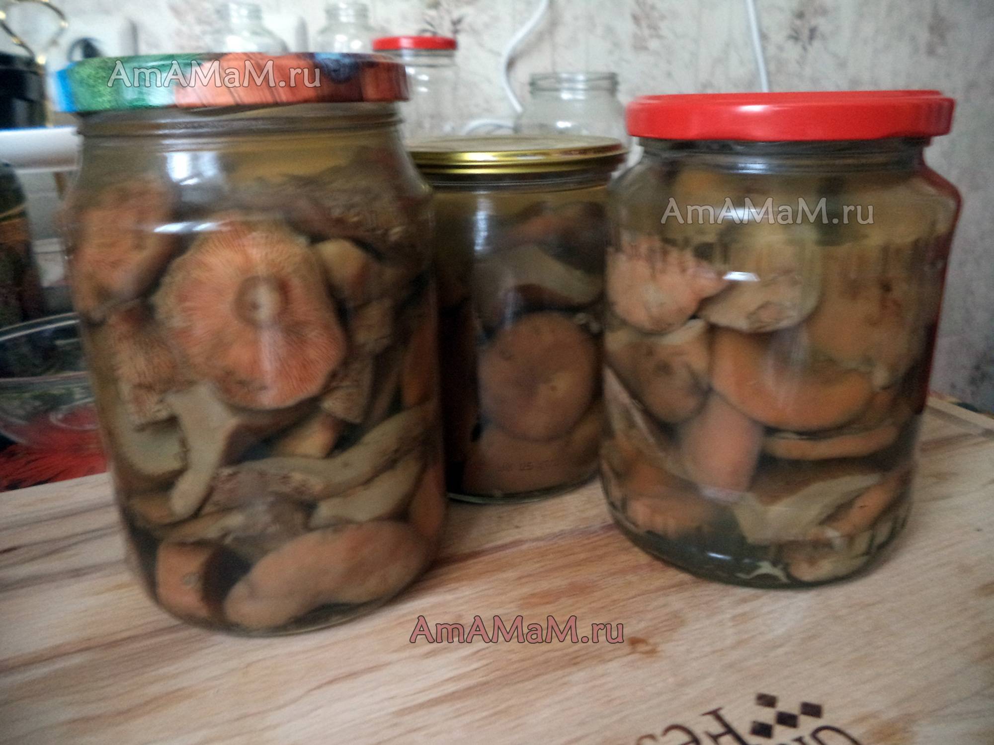 Приготовление грибов рыжиков в домашних условиях. как правильно засолить рыжики: горячая и холодная засолка | дачная жизнь