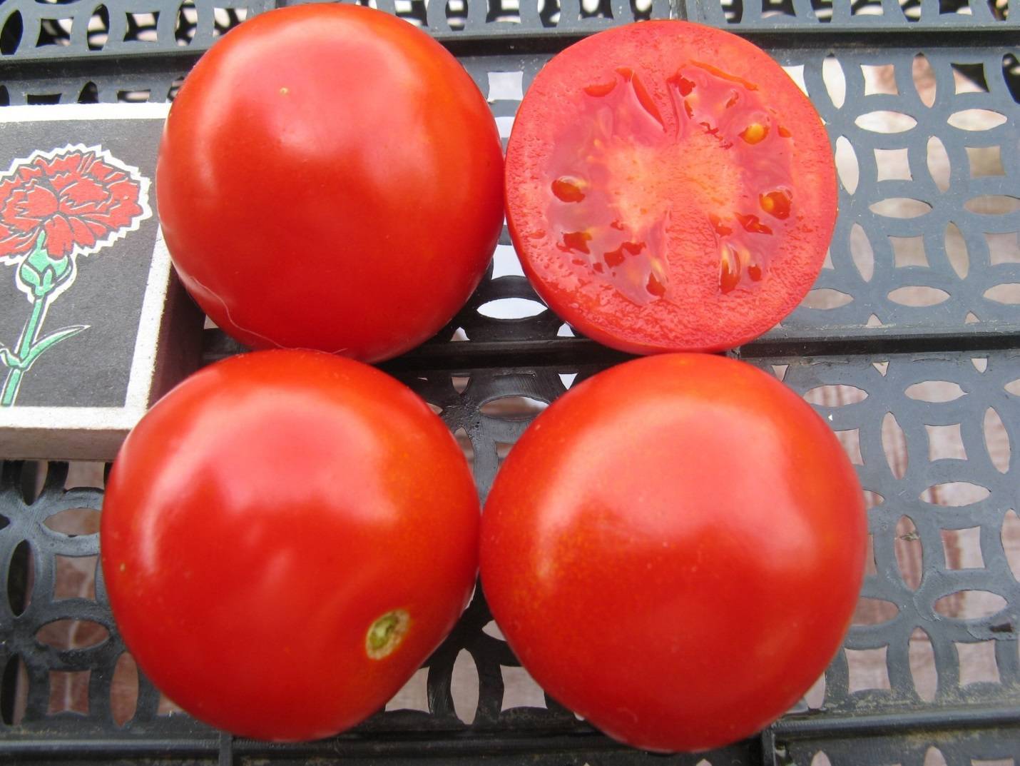Солероссо f1 – идеальный ранний сорт томатов