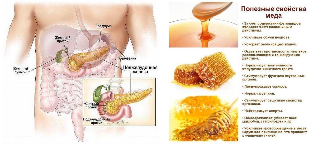 Влияние печени на поджелудочную железу