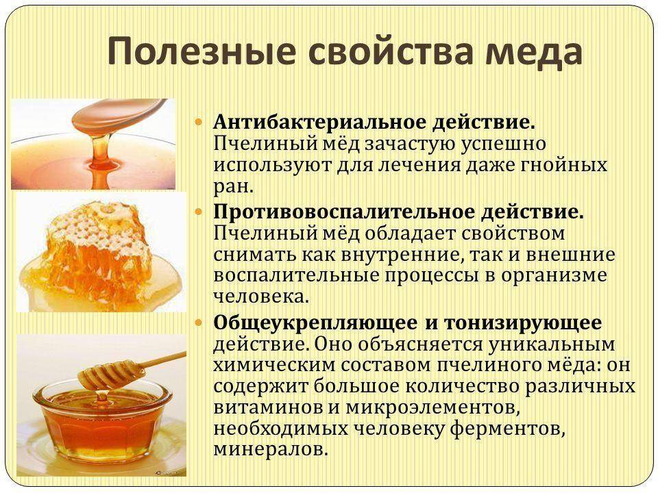 Чем полезен мед для организма человека?