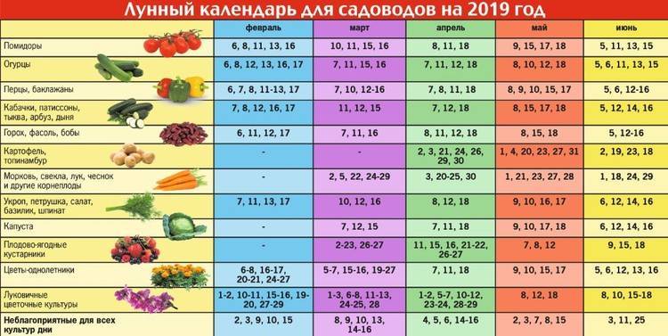 Огурцы время посадки на рассаду. Благоприятные дни для посадки в мае огурцов в грунт. Календарь посадки огурцов. Лунный календарь для посадки огурцов. Календарь высадки рассады.