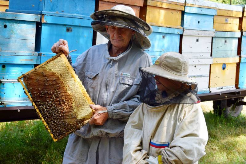 Всемирный день пчел: 20 мая. история и особенности праздника в проекте календарь праздников 2020
