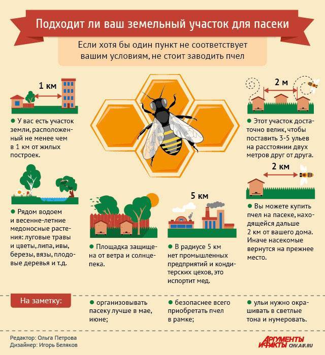 Инструкция по содержанию пчел минсельх