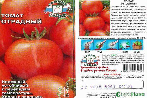 Лучшие детерминантные сорта томатов для россии и регионов