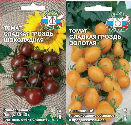 Томат гроздевой f1: характеристика и описание, урожайность, особенности ухода за сортом, фото