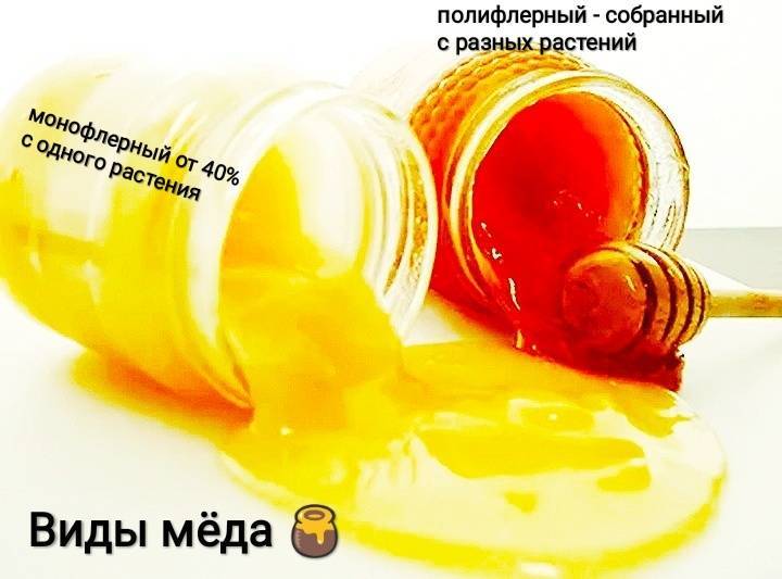 Монофлёрный мёд: что это такое, описание и характеристика, польза и вред, правила употребления
