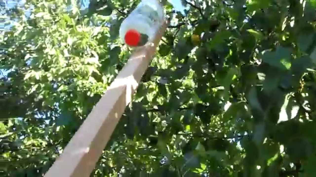 Изделия из древесины вишни