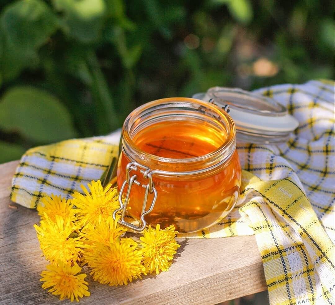 Как сделать мед из одуванчиков. свойства, польза, противопоказания.