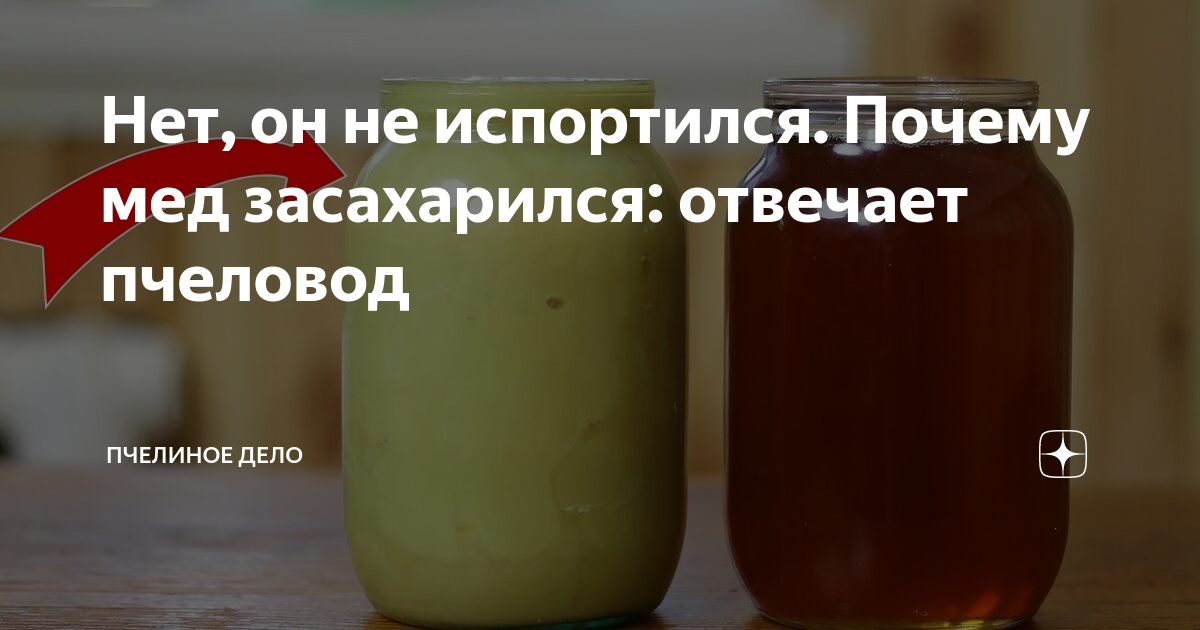 Мед не засахаривается год: почему — русский завтрак
