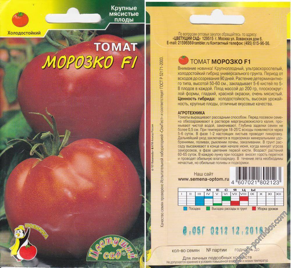 Лучшие гибриды томатов для теплиц