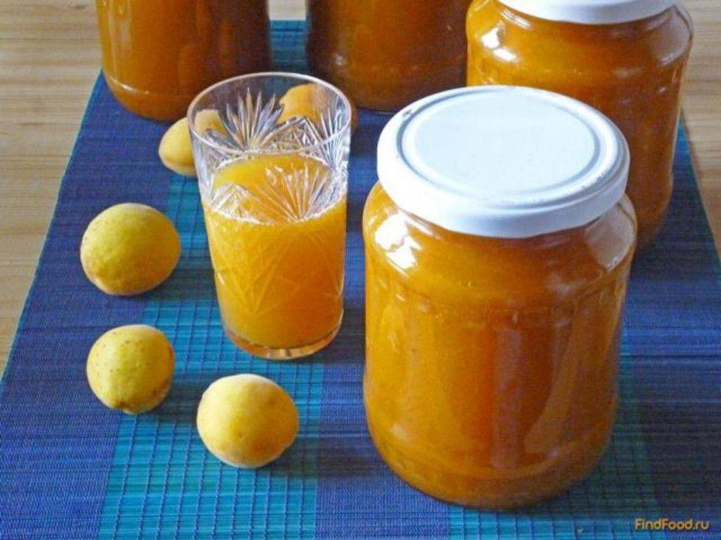 Самые удачные рецепты абрикосового сока