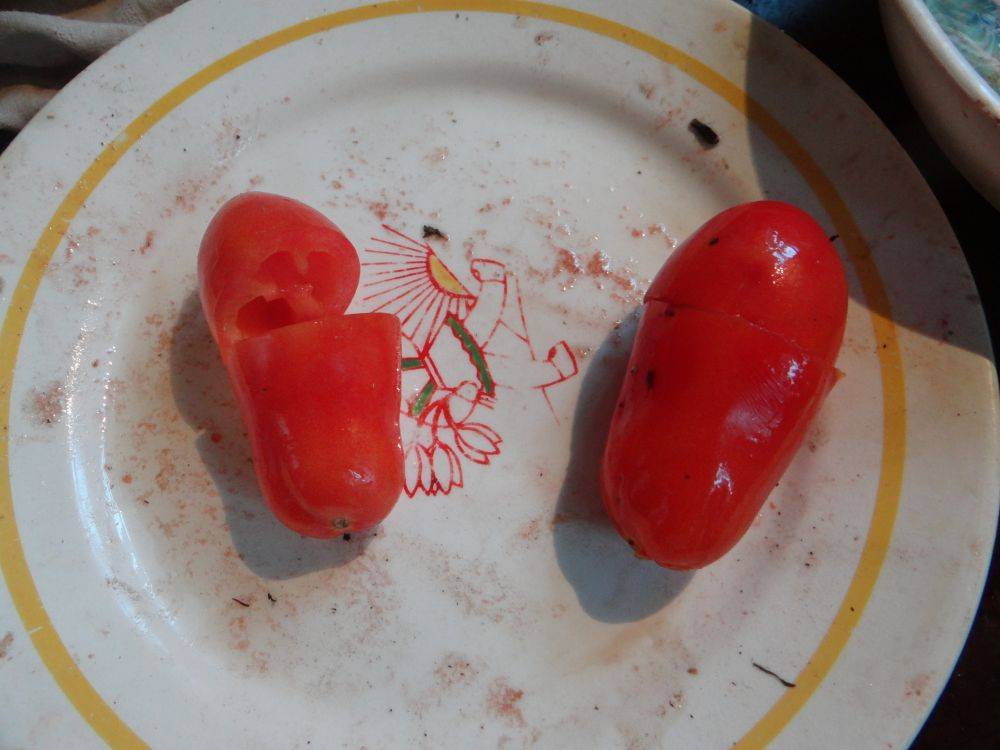 ᐉ томат гаванская сигара отзывы фото урожайность - zooshop-76.ru