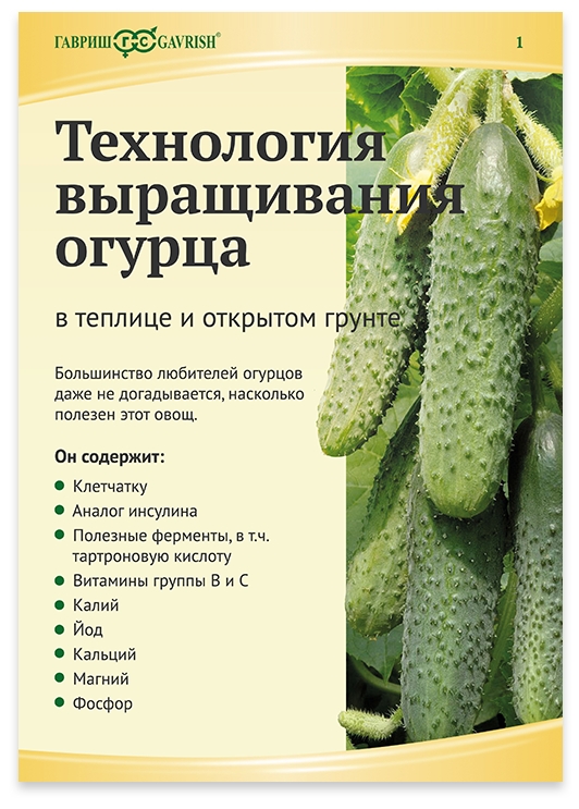 Огурцы кураж отзывы фото. Огурцы Гавриш сорт Кураж. Огурец f1 Кураж Гавриш урожай. Кураж огурцы Гавриш описание. Кураж семена огурец для теплиц.