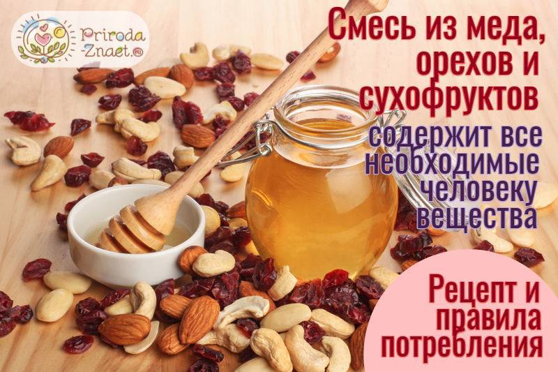 Польза грецких орехов с медом для здоровья