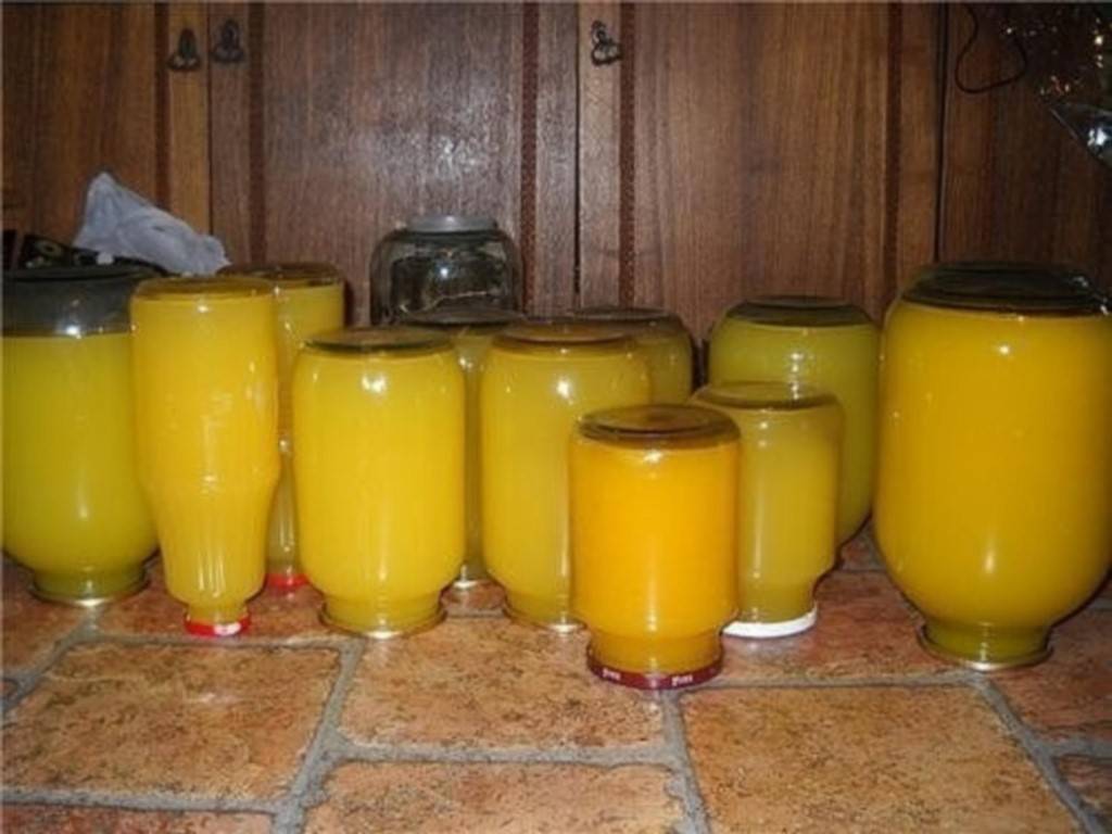 Апельсиновый сок из 4 апельсинов: рецепт приготовления