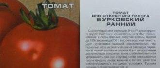 Выращиваем томат «ранний-83»: описание сорта и фото плодов