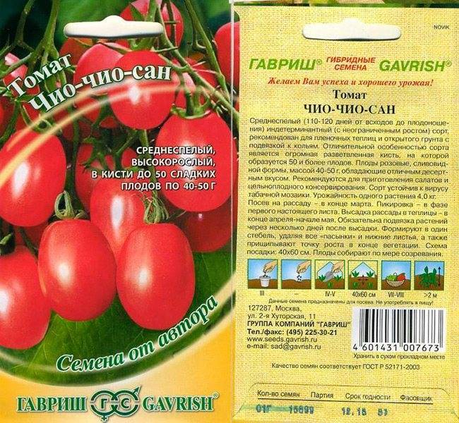 Описание сорта томата Чио-чио сан, особенности выращивания и ухода