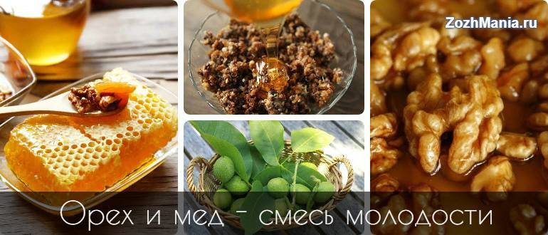 Чем полезны орехи с медом для мужчин. состав и лечебные свойства орехов с мёдом: мужские силы восстановятся?