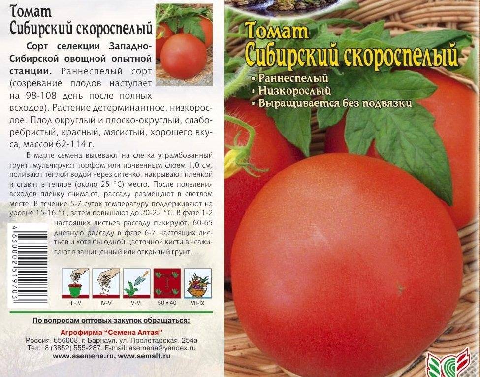 Как вырастить ампельные томаты в подвесных кашпо