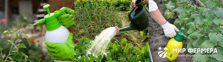 Мочевина (карбамид): применение удобрения в огороде и саду, инструкция по применению