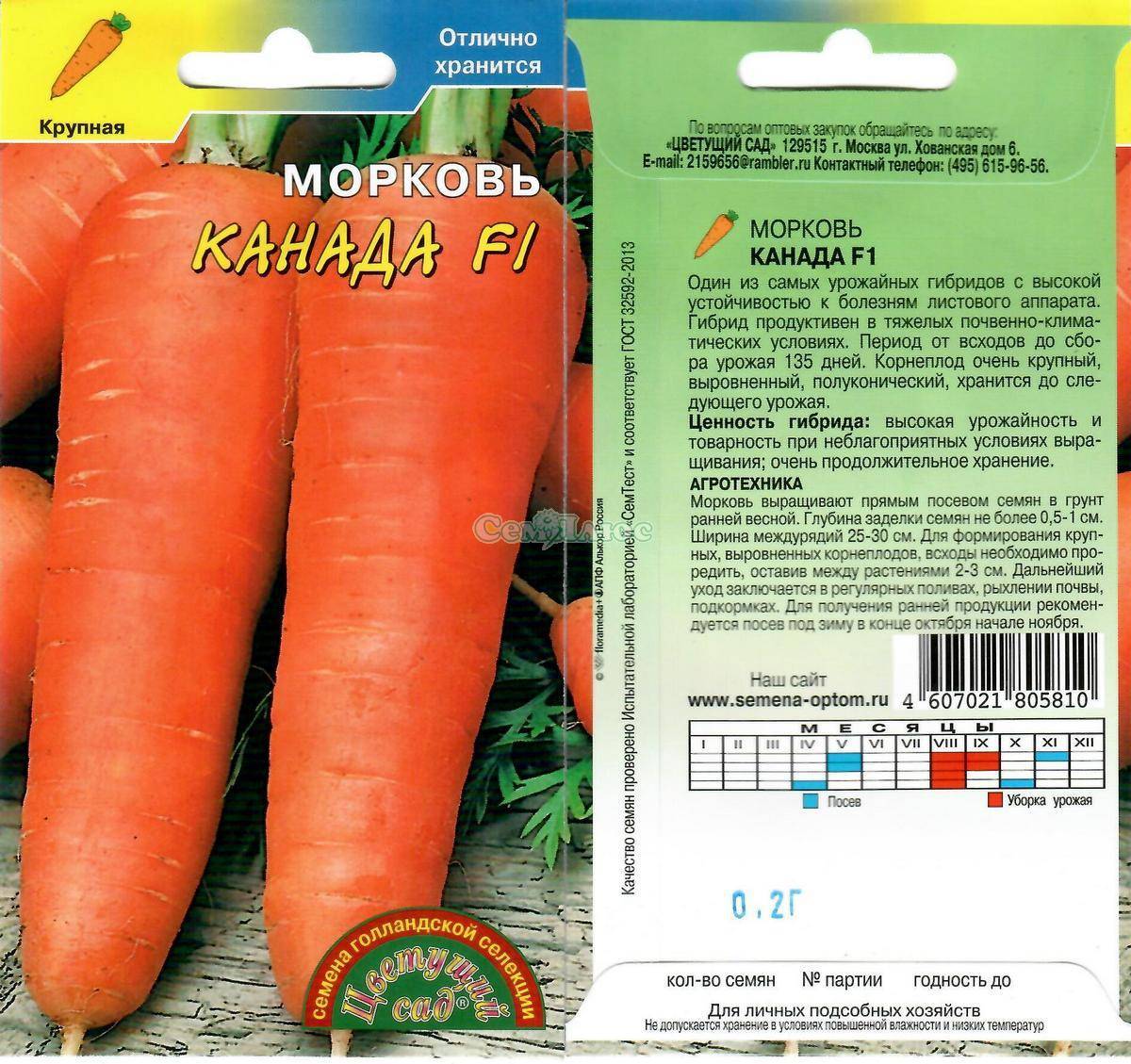 Особенности сорта моркови Канада и описание плодов