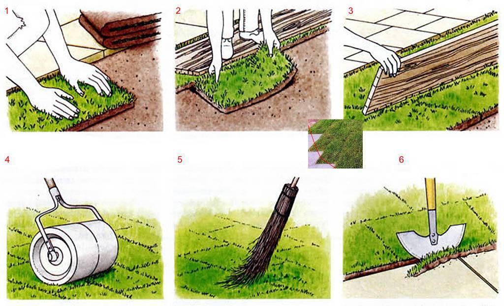 Искусственный газон: применение, правила укладки и идеи использования в ландшафтном дизайне (165 фото)