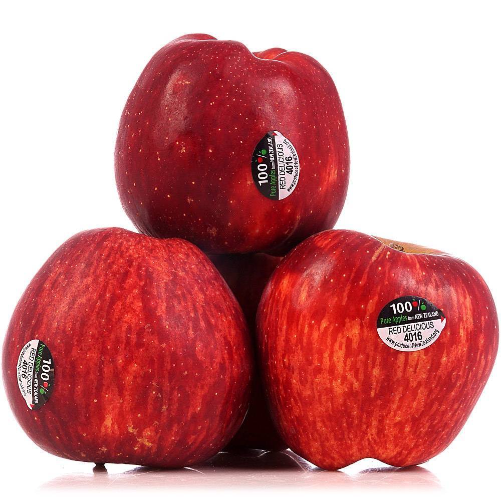 Описание сорта яблони делишес ред: фото яблок, важные характеристики, урожайность с дерева